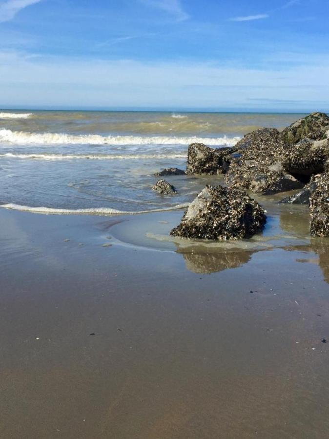 Beachstudio Westende With Sea View ميدل كيرك المظهر الخارجي الصورة